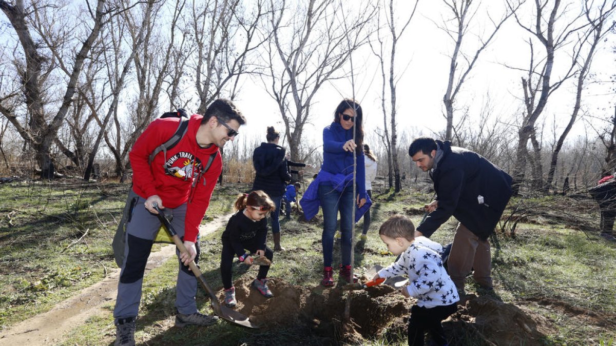 Medi ambient de futur