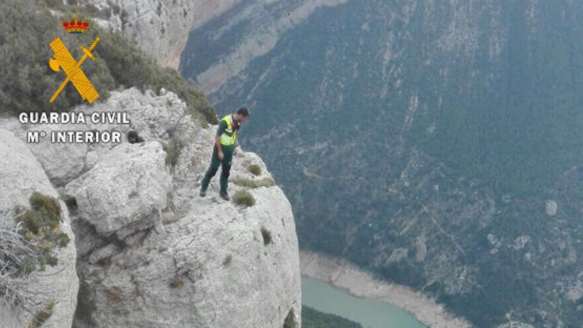 Un agent, al lloc des del qual s’hauria precipitat el jove.