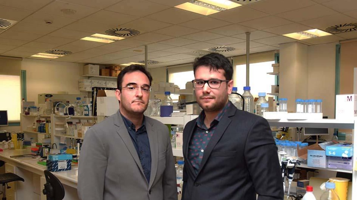 Guillem Pascual (dreta), amb Ángel Montero, que ha dirigit la seua tesi.