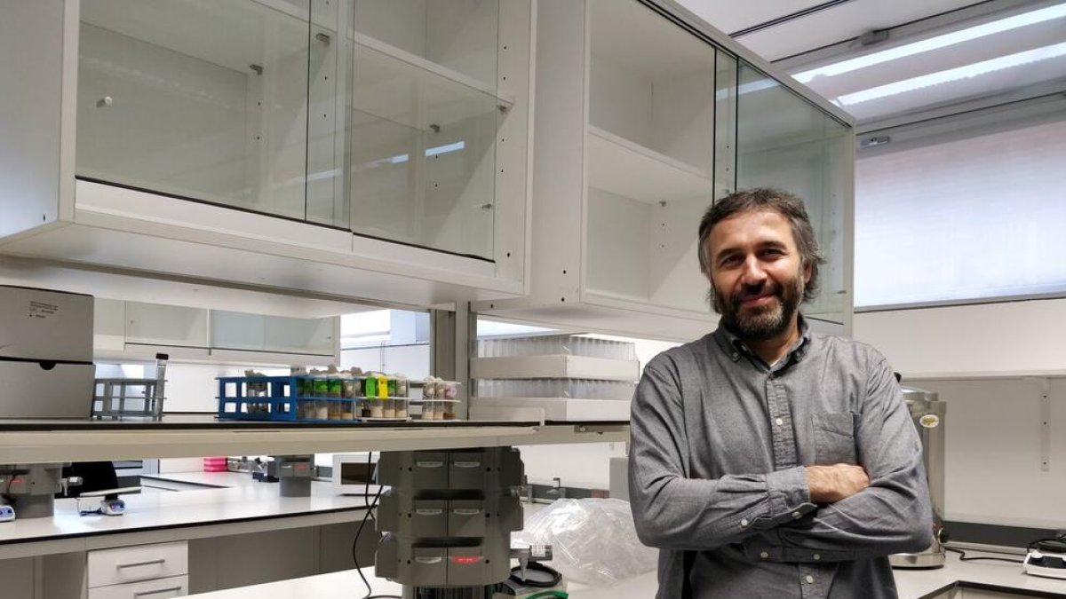 L’investigador Andreu Casali, nova incorporació de l’IRBLleida.