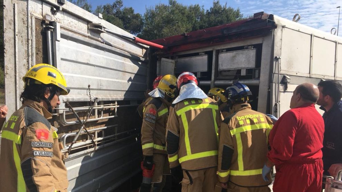 Bolca un tràiler carregat de porcs a Cervera