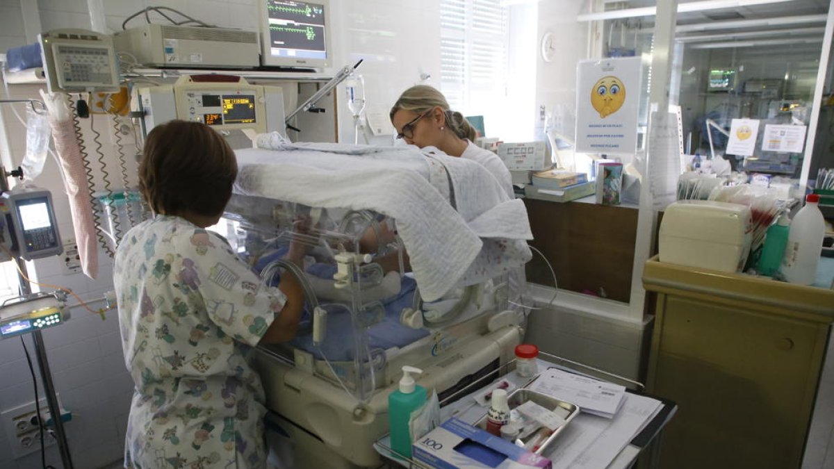 Imagen de archivo del área de prematuros del Arnau de Vilanova.