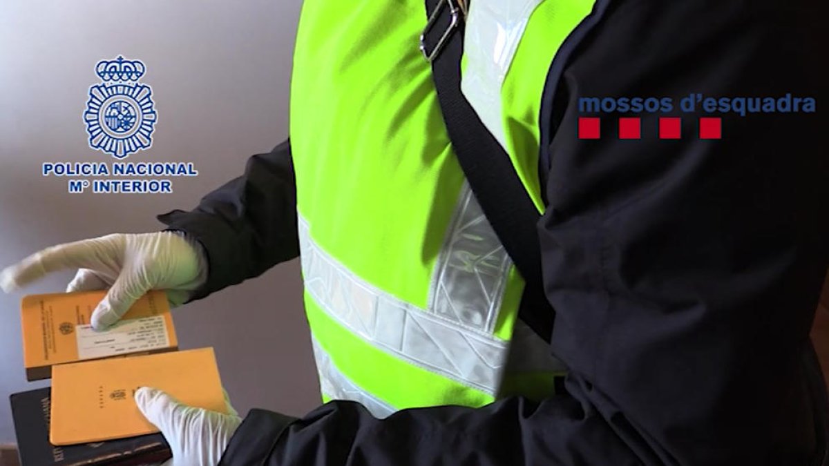 Un detingut a Lleida en una operació contra la falsificació documental per obtenir el carnet de conduir