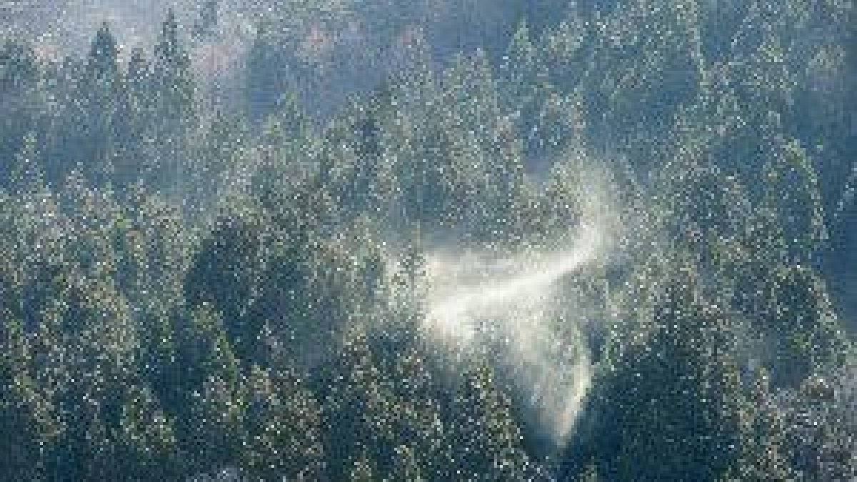 Los alérgicos al polen sufrirán más esta primavera