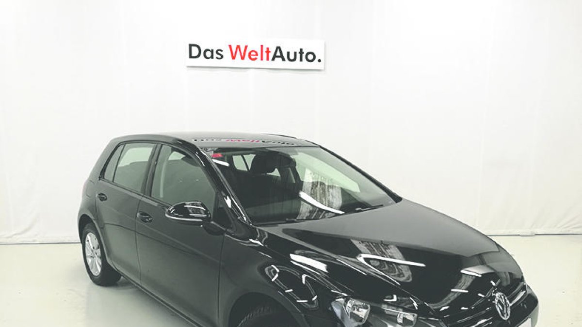 Volkswagen Golf Business 1.6 TDI 110 CV