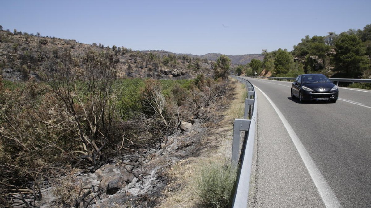 Monte quemado ayer junto a la carretera C-12 entre Maials y Flix, que tras tres días cortada, se reabrió el sábado por la noche.