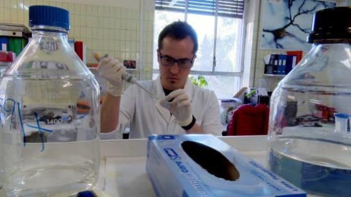 La Sexta aborda la precarietat