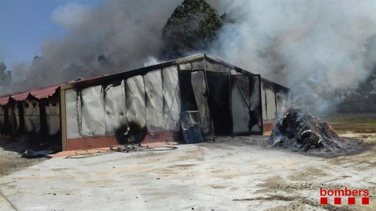 El foc va afectar tota l’estructura de la nau a l’altura del quilòmetre 77 de l’N-240.