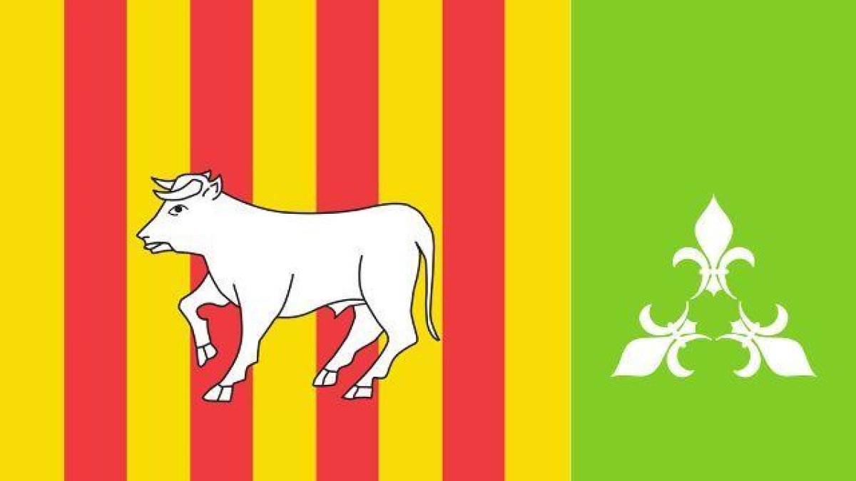 Los vecinos de Les Borges Blanques ya han escogido su nueva bandera