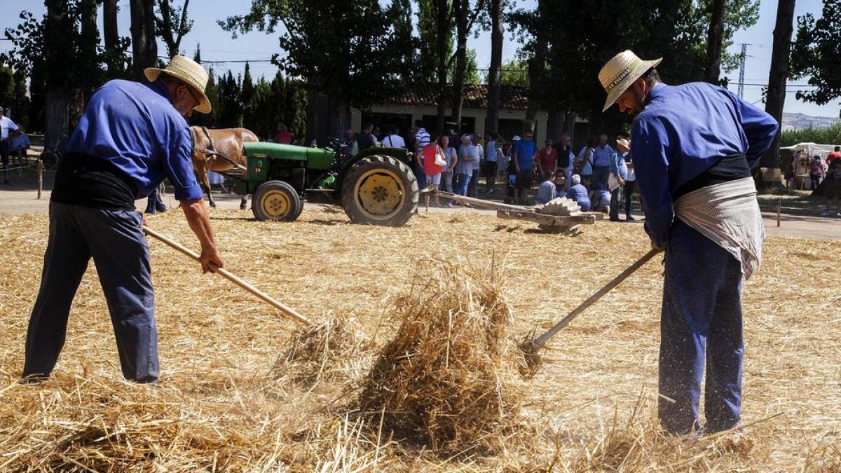 Moment de la trilla diumenge passat a l’era de la Fuliola.