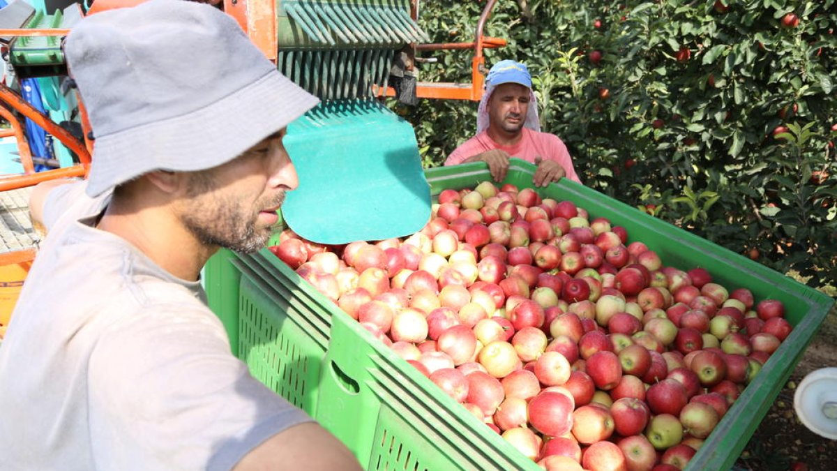 La nostra fruita va de regal, el que pagues és el plàstic
