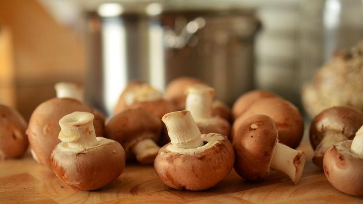 Bolets i tòfona
