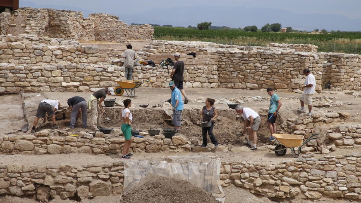 Ayer fue la primera jornada de excavaciones en els Vilars d’Arbeca, en lo que será la 33 campaña, que se alargará hasta el 14 de julio.