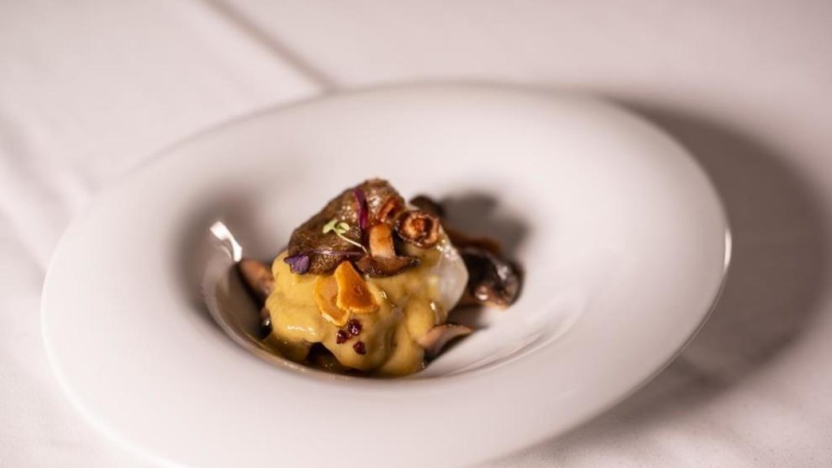 Bacallà amb llenegues.