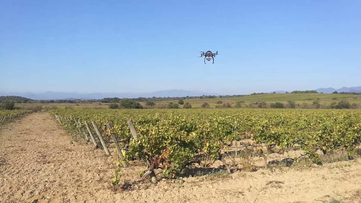 Eurecat vol millorar la producció agroalimentària amb la introducció de tecnologia robòtica