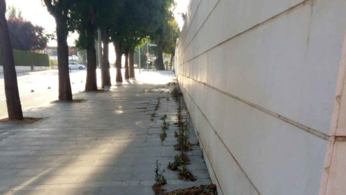 Los vecinos critican la suciedad y la falta de cuidado de las calles.