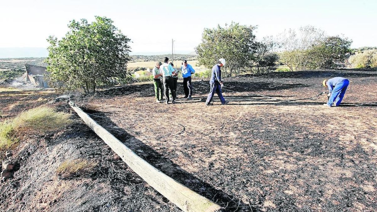 Técnicos y rurales en una imagen de archivo del lugar donde se originó el incendio de Agramunt.