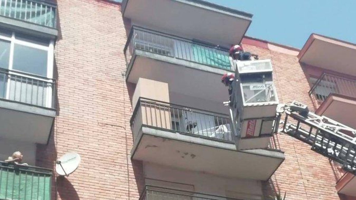Detinguda la propietària d'un gos que va morir lligat en un balcó