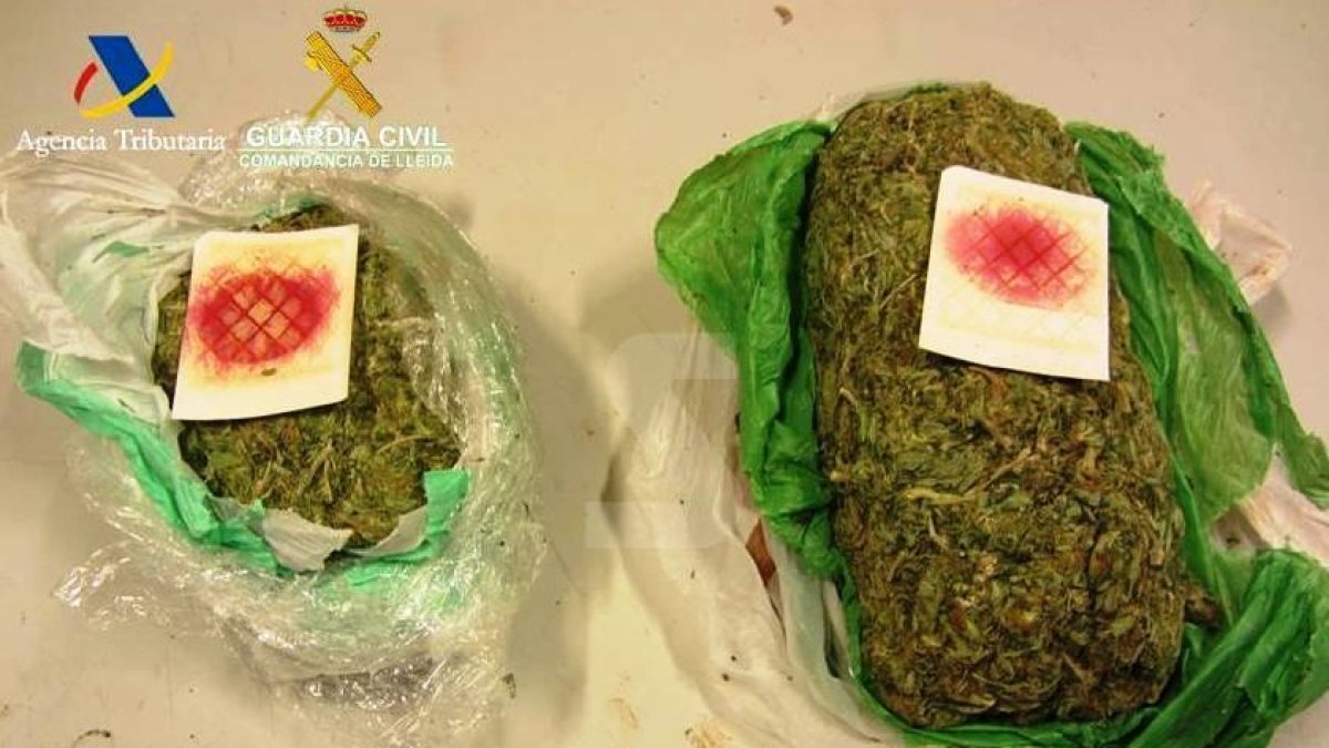 Vista de la droga intervinguda.