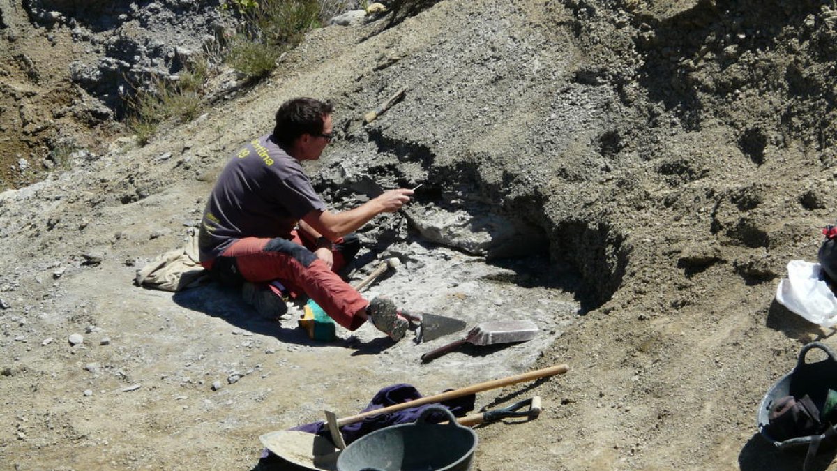 Una de las campañas de excavación en el Molí del Baró.