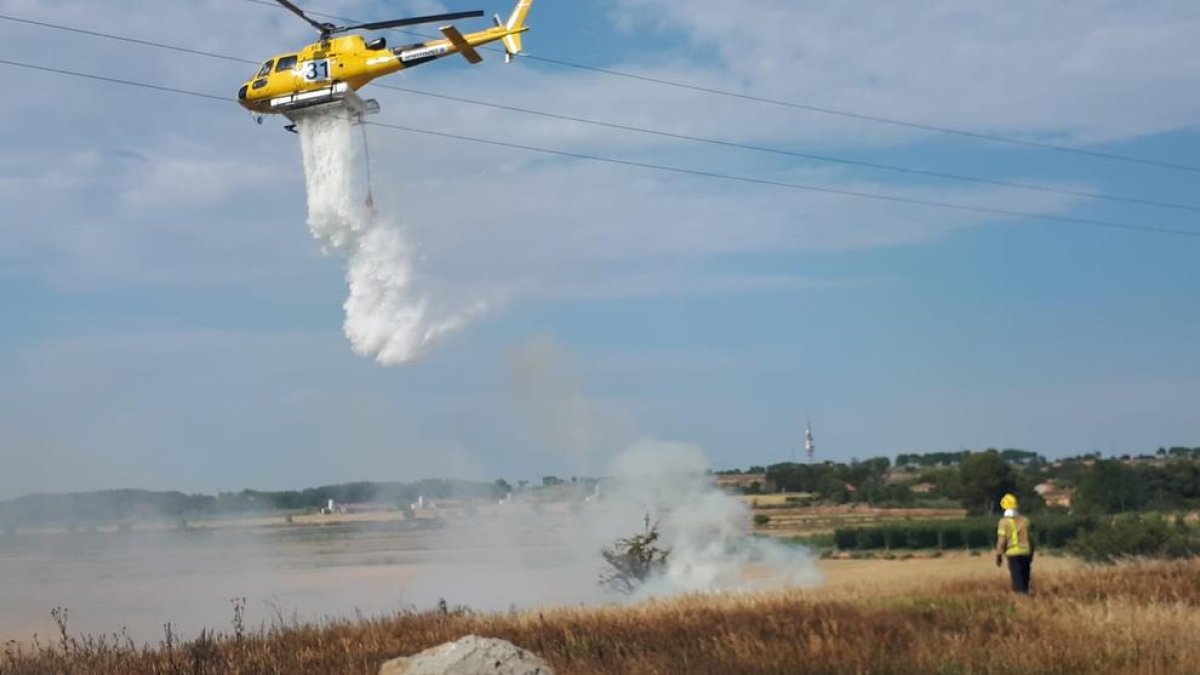 Efectivos de extinción ayer en el incendio en la partida Grealó.
