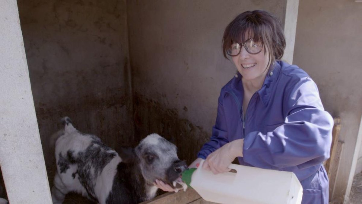 Amparo és la ‘Jefa infiltrada’