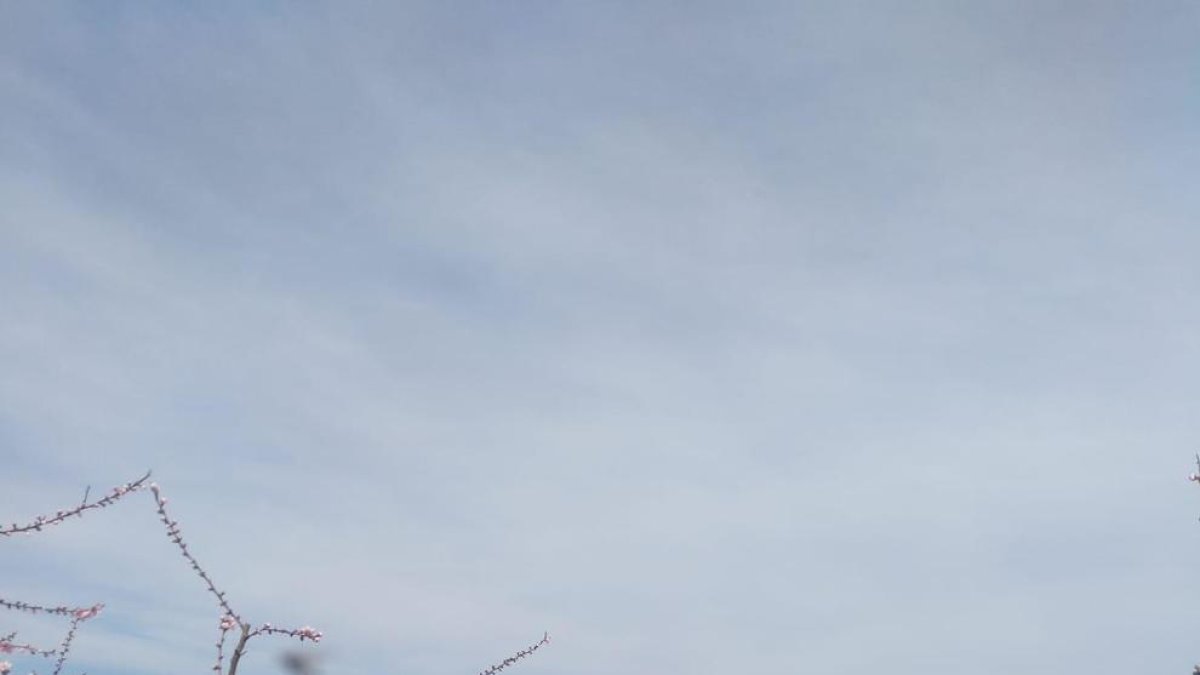 Aitona ya empezó a recibir visitantes el pasado fin de semana.