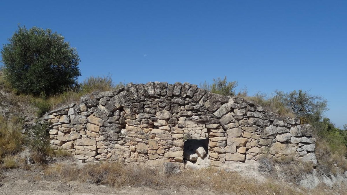 Imatge d’una cabana de volta de la Floresta.