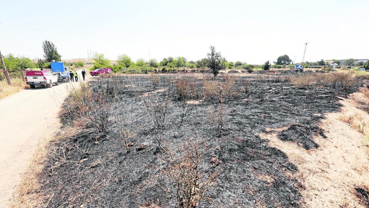 Sofocan un incendio que calcina una hectárea de maleza en La Bordeta