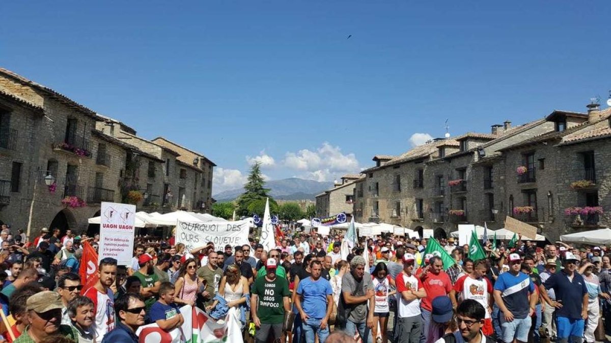 La protesta contra la presència de l'ós al Pirineu que ha tingut lloc aquest dijous a Aínsa.