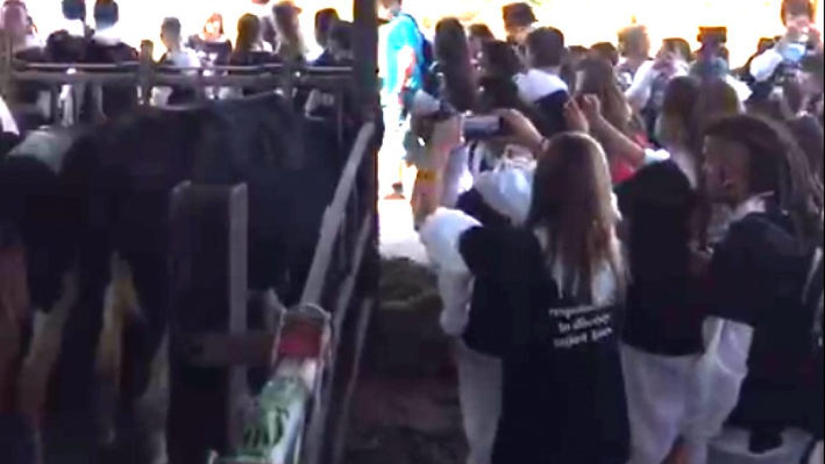 Captura del vídeo que denuncia UP