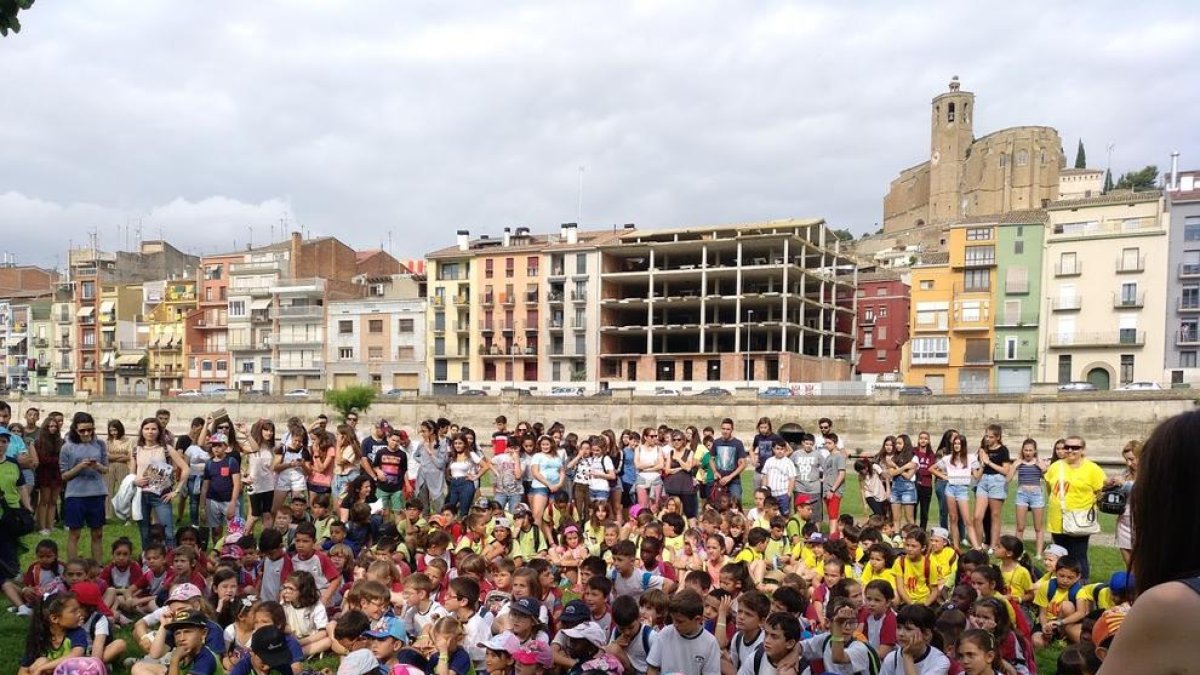 Escolares de Tàrrega plantaron ayer doce moreras.