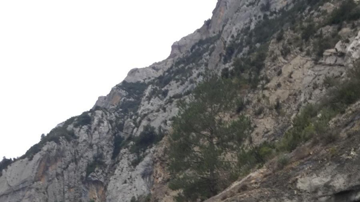 Imagen de uno de los tres vehículos implicados en el accidente múltiple de ayer en Gerri de la Sal.