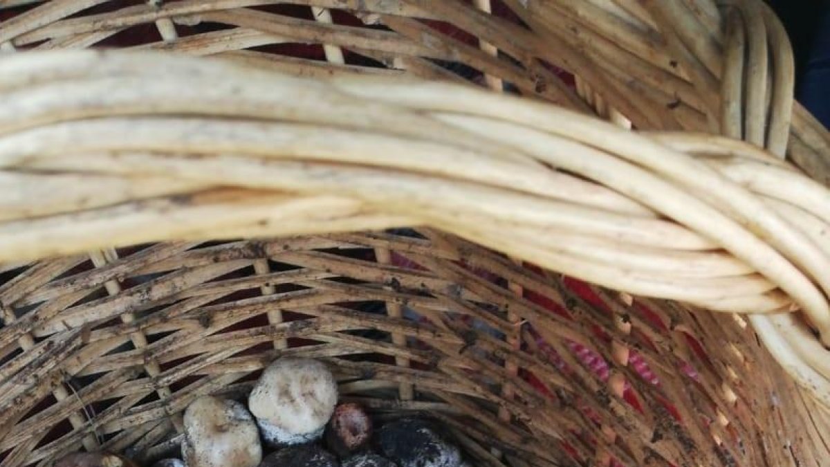 Turistes al Parc Nacional d’Aigüestortes a la zona del llac de Sant Maurici el 15 d’agost passat.