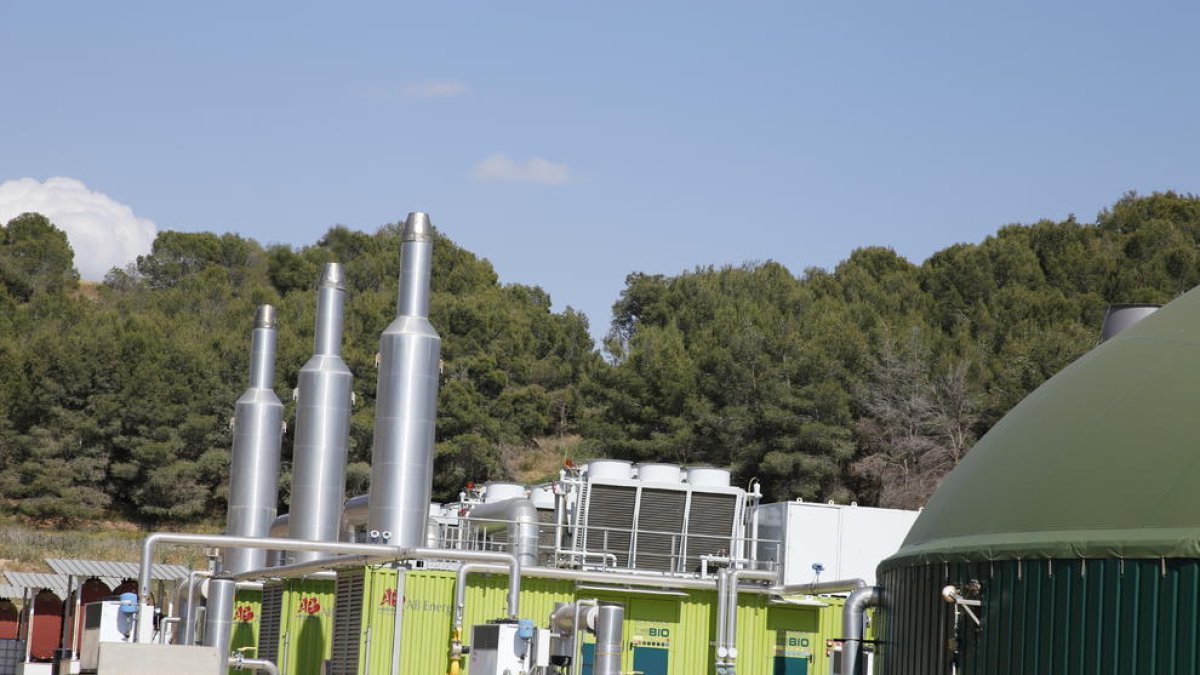 Les instal·lacions de la planta de biogàs d’Almenar.