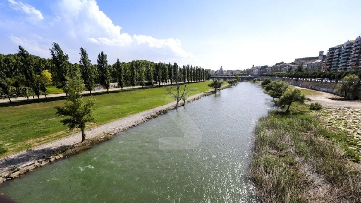 Amenaça de multa a l'empresa de jardineria de Lleida per mal manteniment