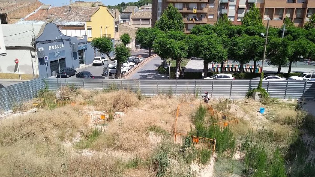 El solar on se sospita que hi ha l’origen de la plaga.