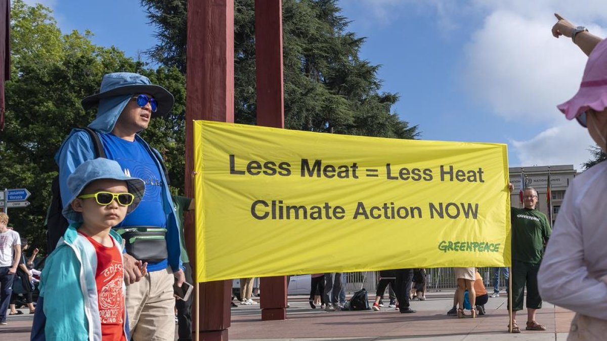 Greenpeace va desplegar una pancarta davant de l’ONU per demanar menys consum de carn.
