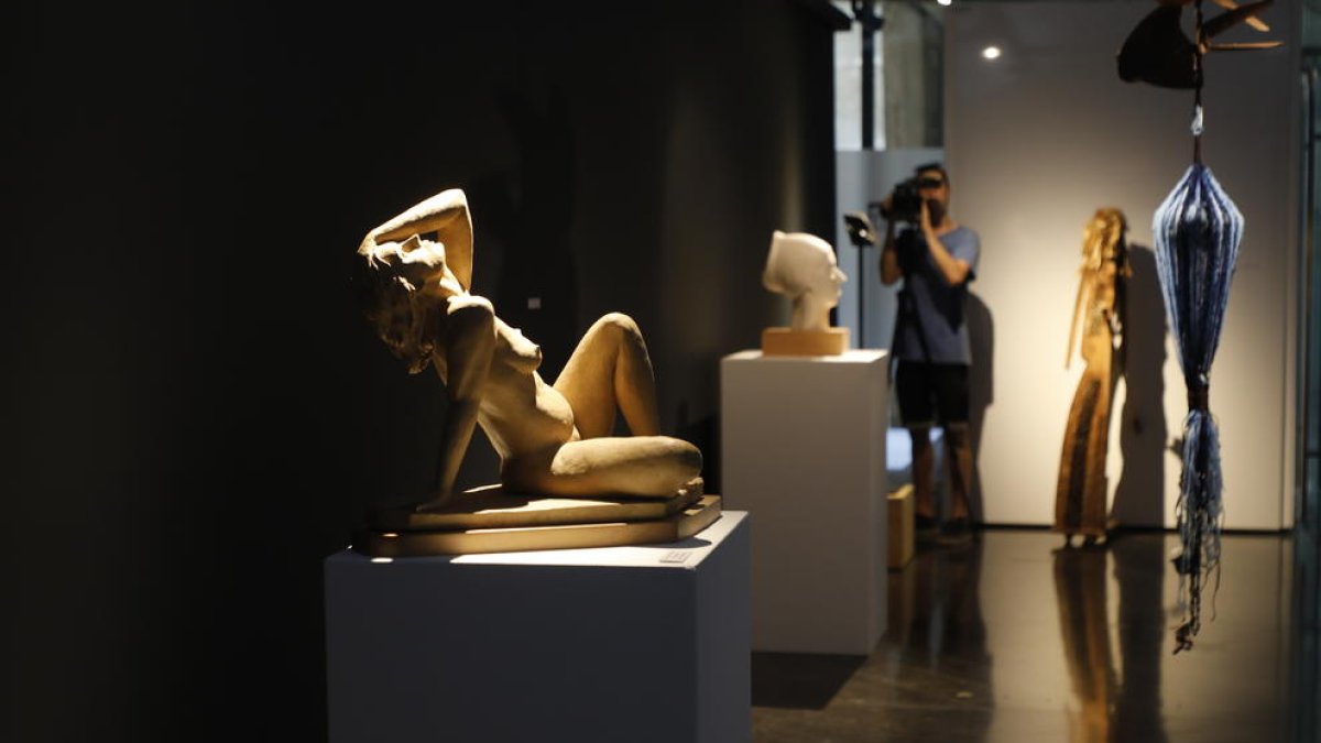 El Institut d’Estudis Ilerdencs acoge desde ayer las 25 mejores esculturas del premio Sant Jordi.