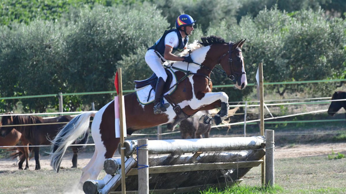 Albert Hermoso, durant la seua participació en el concurs.