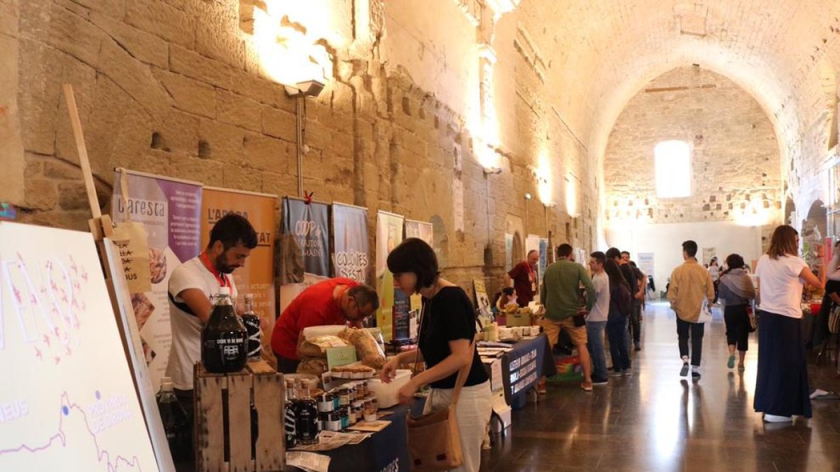 Més de quaranta entitats han participat en la Ponent FEST.