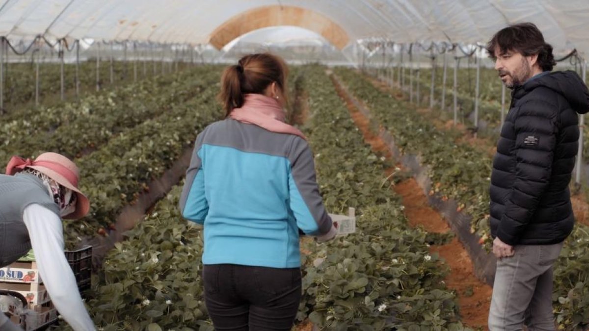 Temporeres i polítiques, a La Sexta