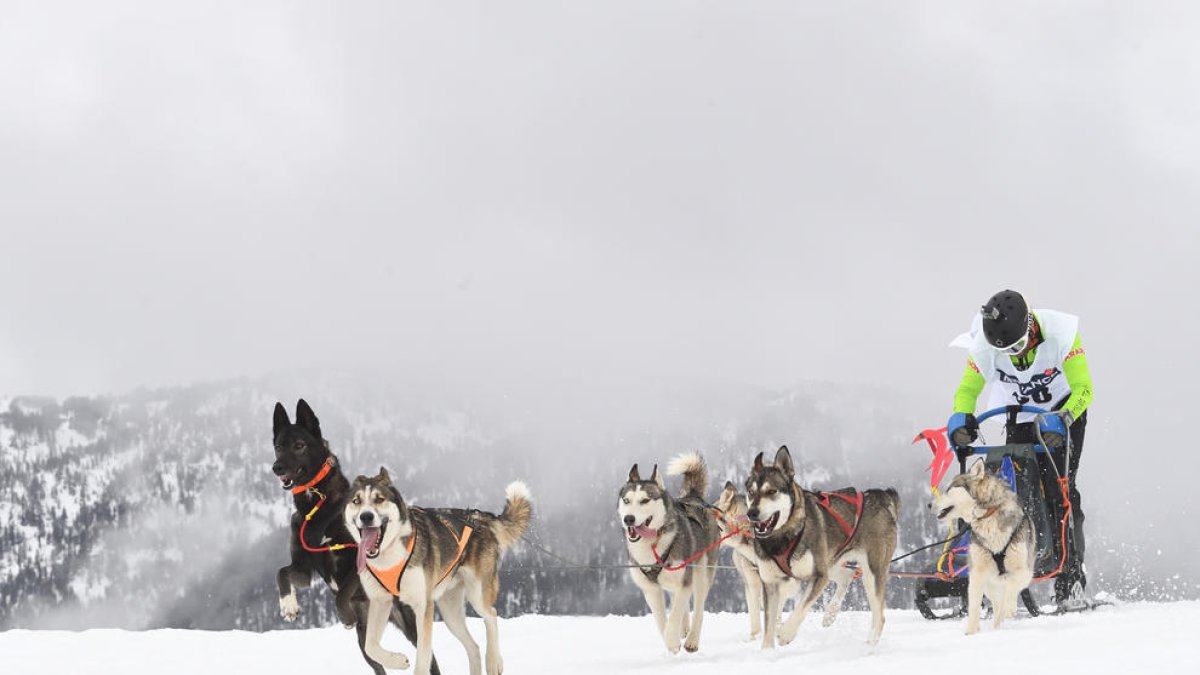 El campionat reuneix 150 participants en les diferents categories.