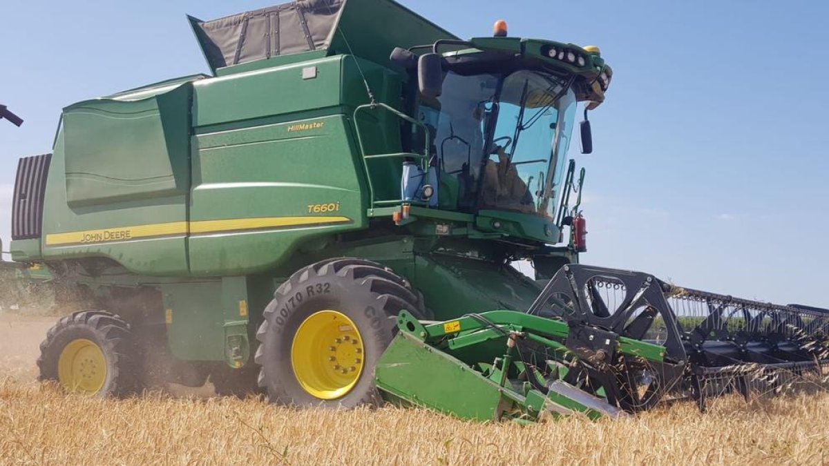 Imagen de una cosechadora trabajando en un campo de cereal de Vallmanya.