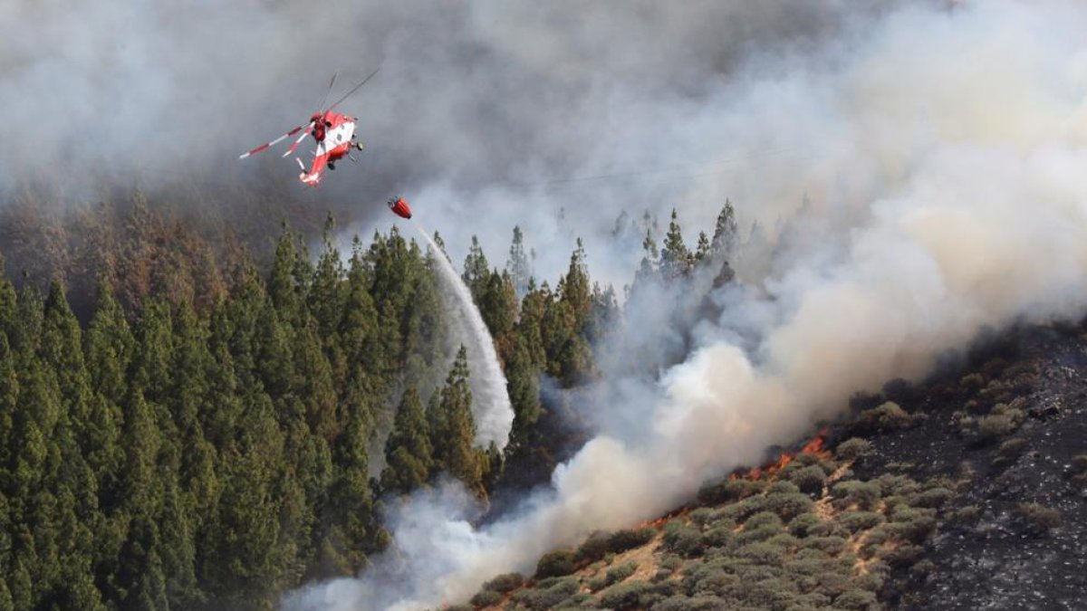 Un incendi forestal a Gran Canària arrasa ja gairebé mil hectàrees