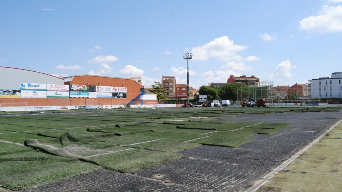 Imagen de la renovación del césped en el campo de fútbol de Mollerussa.