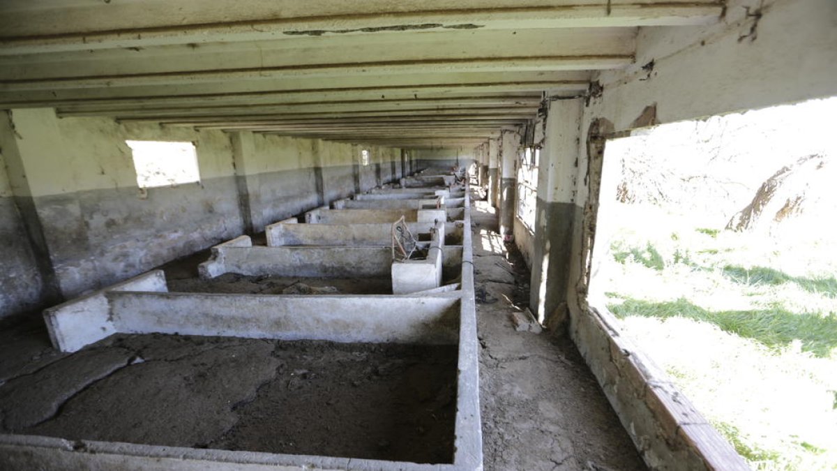 Los edificios de la antigua Granja Militar de Rufea llevan años abandonados y en estado de ruina.