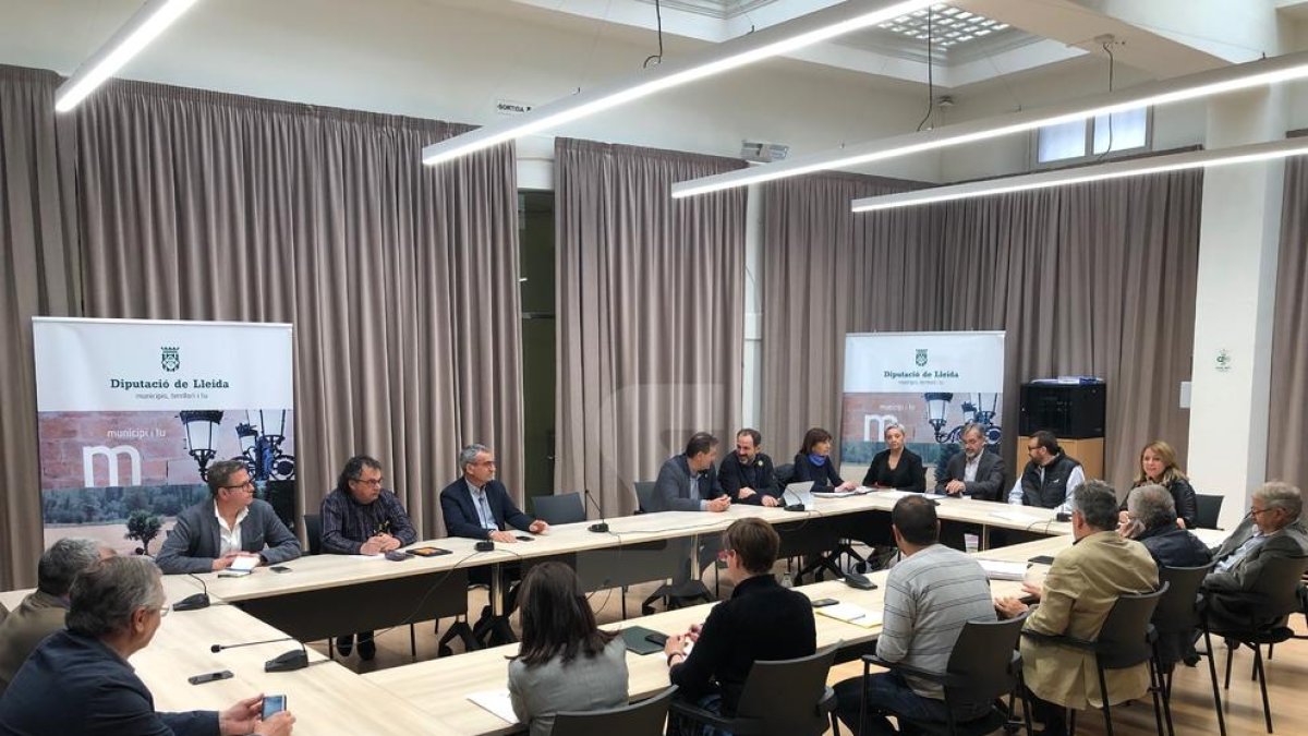 Es constitueix la comissió informativa pel cas Boreas sense la participació de Joan Reñé