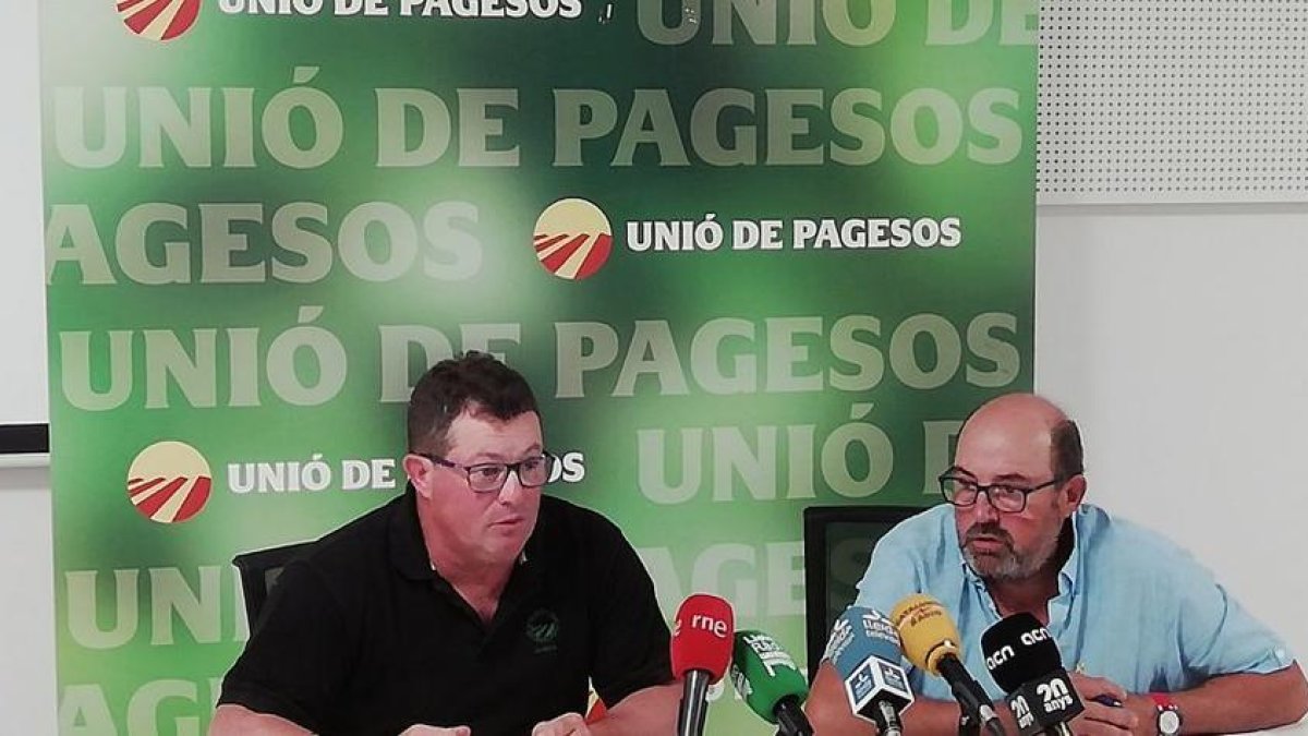 Ramon Comes y Salomó Torres, de UP, han valorado este miércoles en Lleida el inicio de la campaña de la fruta.