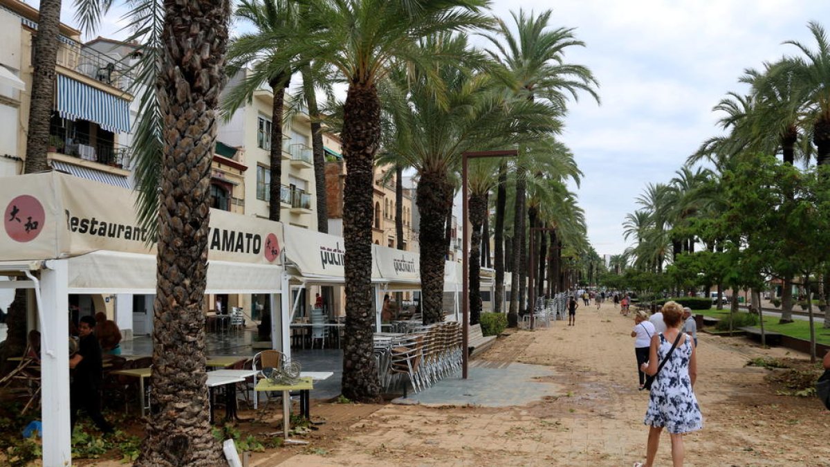 Vista del estado en el que quedó el paseo del Carme de Vilanova i la Geltrú tras la tormenta.